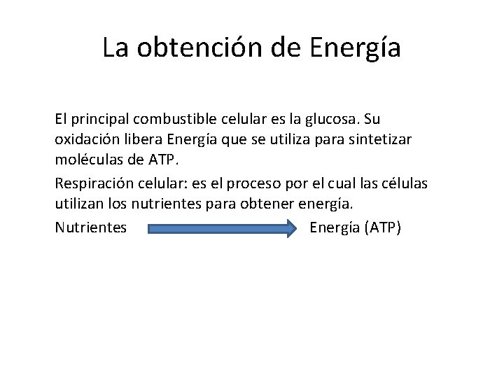 La obtención de Energía El principal combustible celular es la glucosa. Su oxidación libera