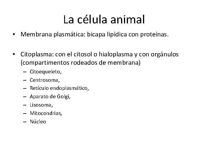 La célula animal • Membrana plasmática: bicapa lipídica con proteínas. • Citoplasma: con el