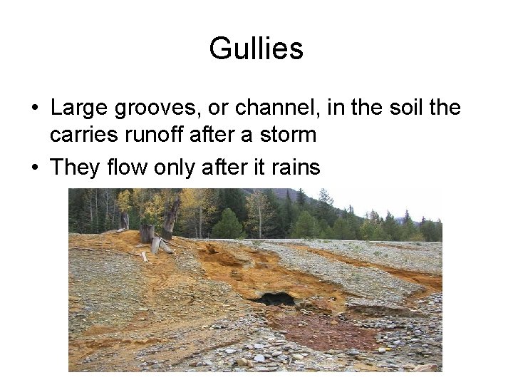 Gullies • Large grooves, or channel, in the soil the carries runoff after a