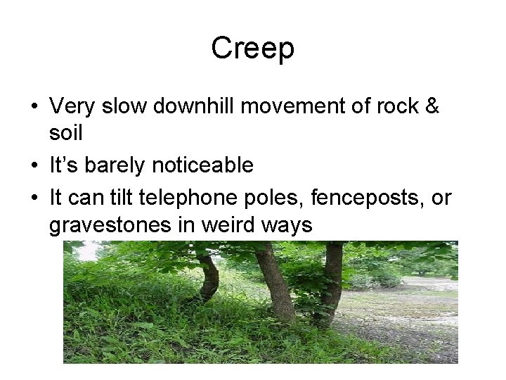 Creep • Very slow downhill movement of rock & soil • It’s barely noticeable