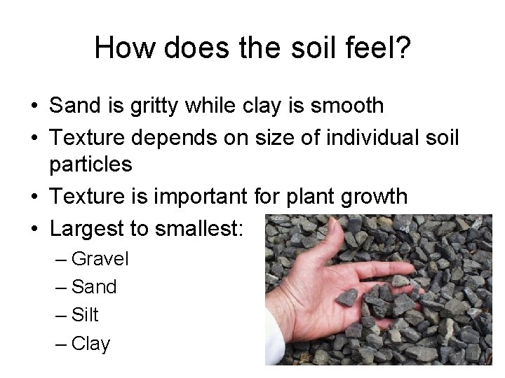 How does the soil feel? • Sand is gritty while clay is smooth •