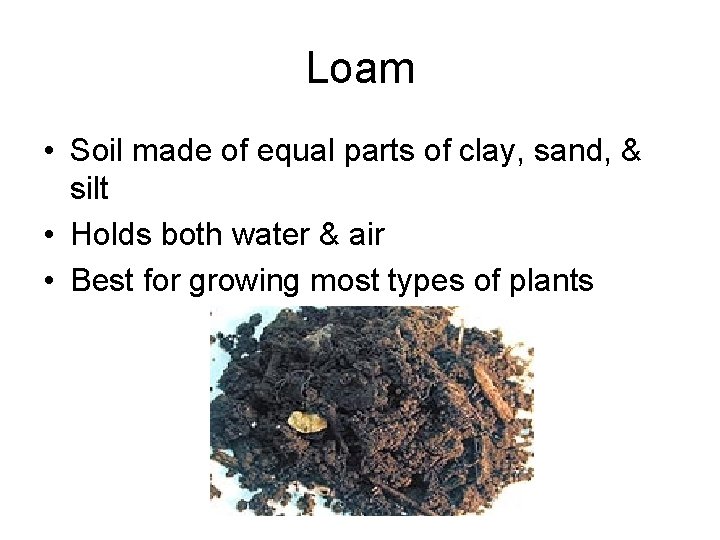 Loam • Soil made of equal parts of clay, sand, & silt • Holds