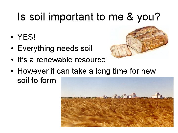 Is soil important to me & you? • • YES! Everything needs soil It’s