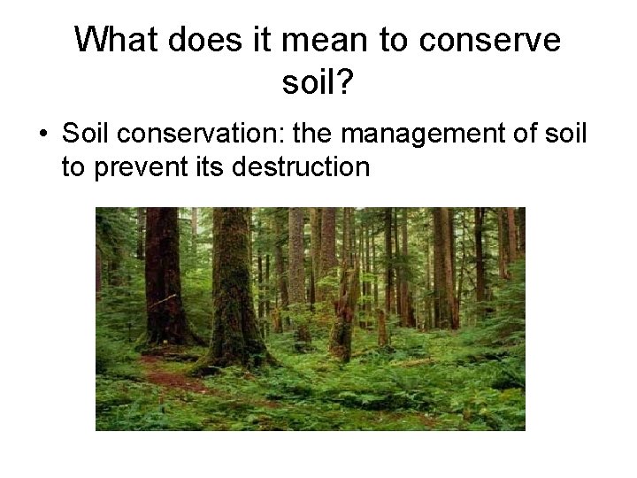 What does it mean to conserve soil? • Soil conservation: the management of soil