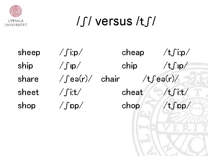 /ʃ/ versus /tʃ/ sheep ship share sheet shop /ʃi: p/ cheap /tʃi: p/ /ʃıp/