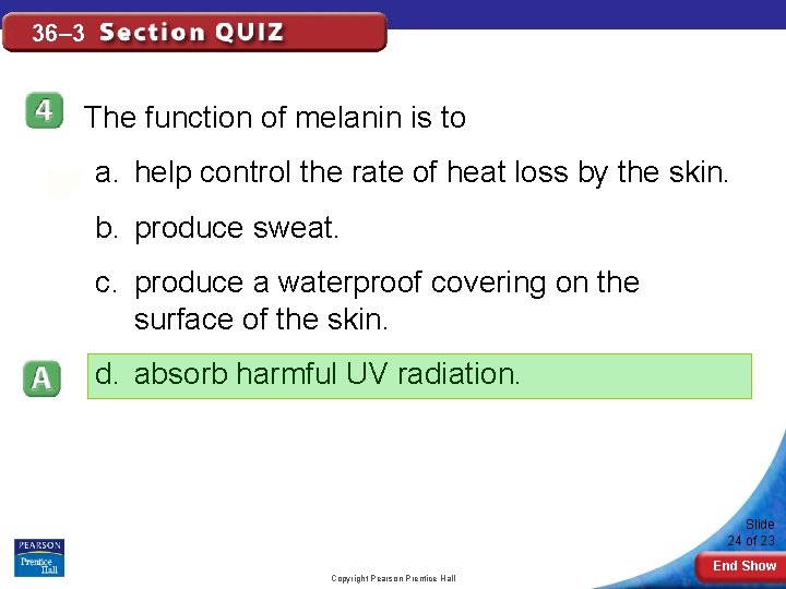 36– 3 The function of melanin is to a. help control the rate of