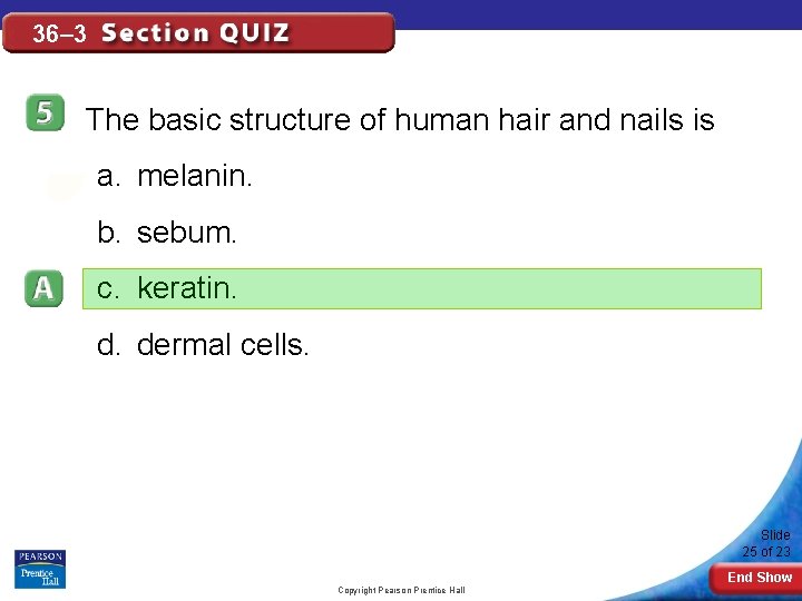 36– 3 The basic structure of human hair and nails is a. melanin. b.