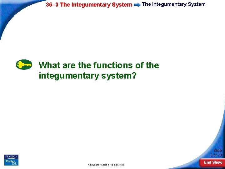 36– 3 The Integumentary System What are the functions of the integumentary system? Slide