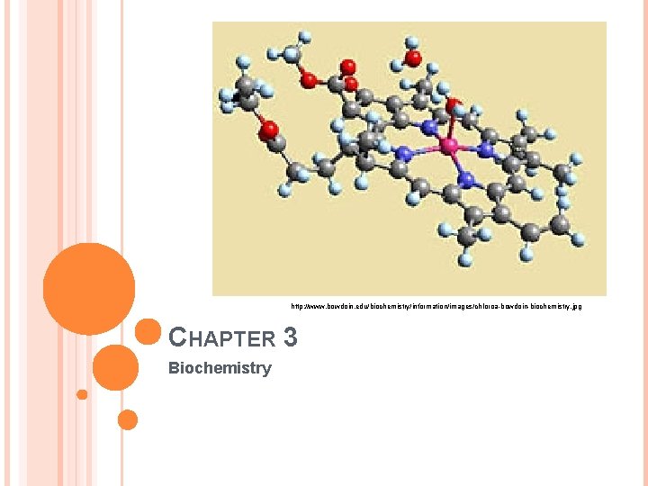 http: //www. bowdoin. edu/biochemistry/information/images/chloroa-bowdoin-biochemistry. jpg CHAPTER 3 Biochemistry 