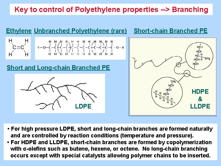 Key to control of Polyethylene properties --> Branching Ethylene Unbranched Polyethylene (rare) Short-chain Branched
