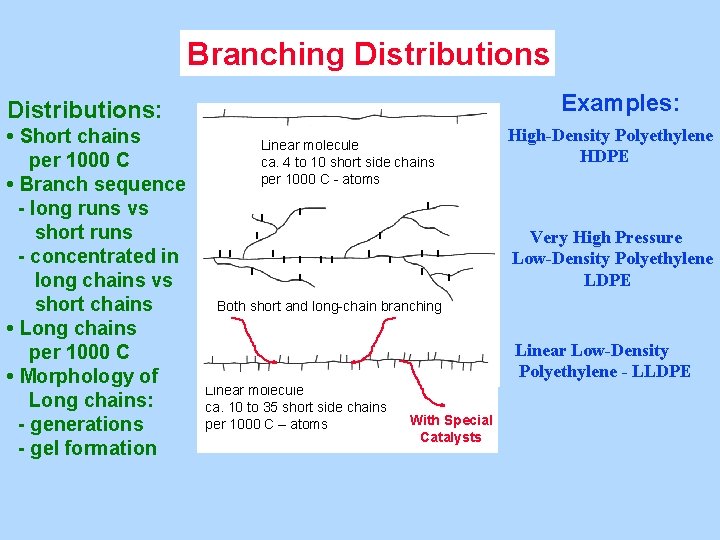 Branching Distributions Examples: Distributions: • Short chains per 1000 C • Branch sequence -