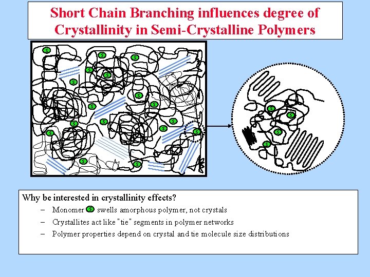 Short Chain Branching influences degree of Crystallinity in Semi-Crystalline Polymers S S S S