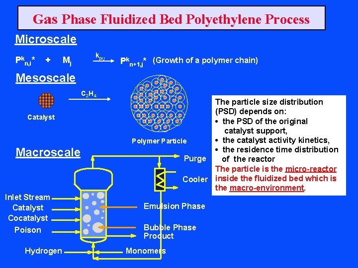 Gas Phase Fluidized Bed Polyethylene Process Microscale Pkn, i* + Mj kpij Pkn+1, j*