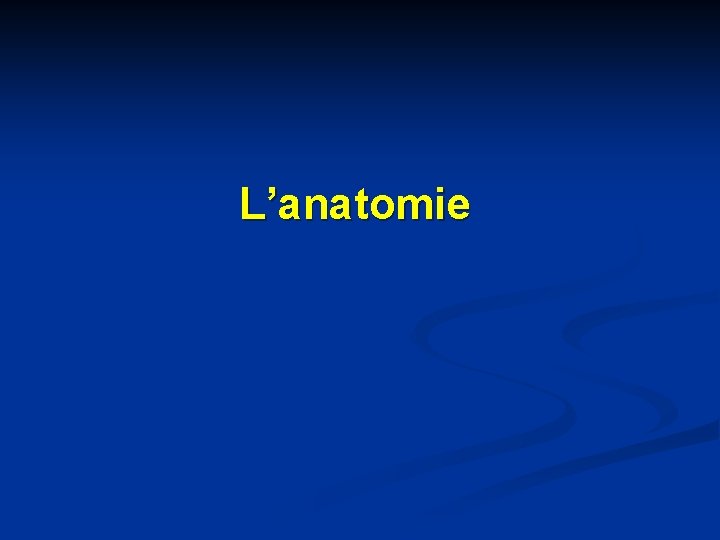 L’anatomie 
