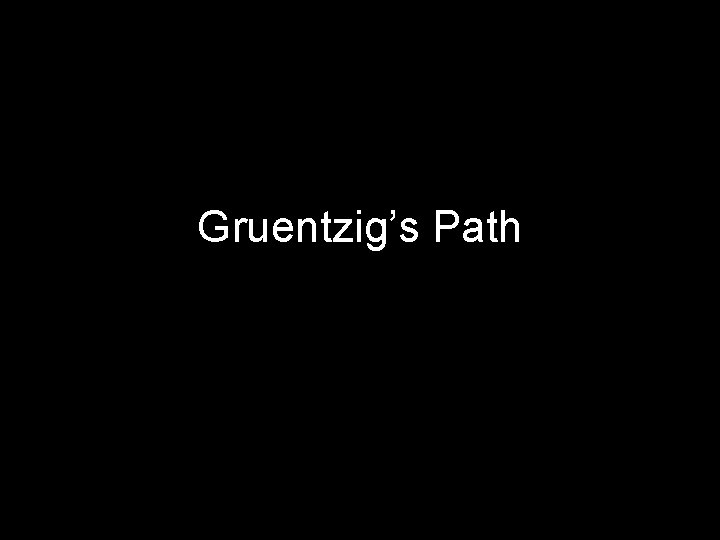 Gruentzig’s Path 