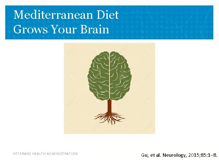 Mediterranean Diet Grows Your Brain VETERANS HEALTH ADMINISTRATION Gu, et al. Neurology, 2015; 85: