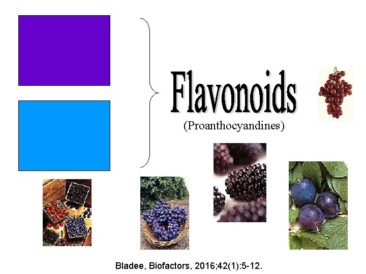 (Proanthocyandines) Bladee, Biofactors, 2016; 42(1): 5 -12. 