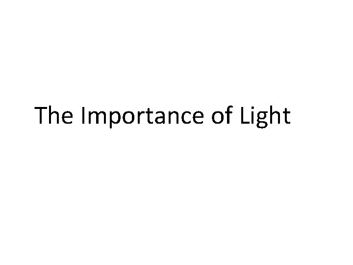 The Importance of Light 