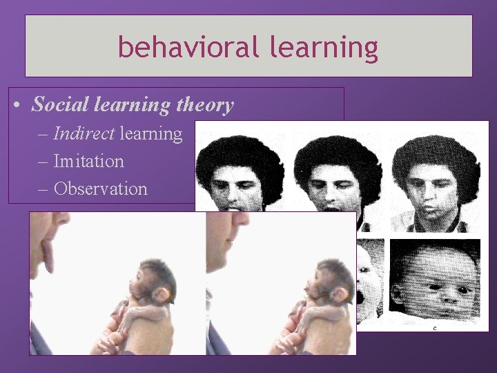 behavioral learning • Social learning theory – Indirect learning – Imitation – Observation 