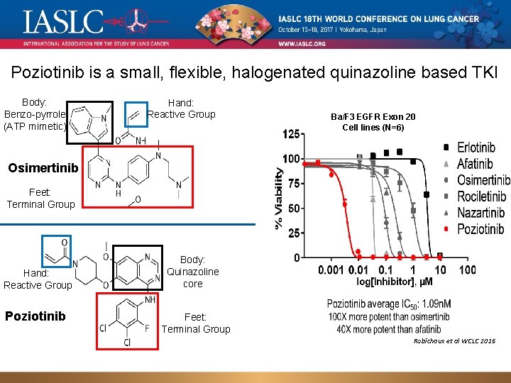 Poziotinib is a small, flexible, halogenated quinazoline based TKI Body: Benzo-pyrrole (ATP mimetic) Hand: