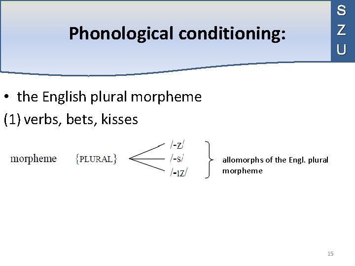  Phonological conditioning: S Z U • the English plural morpheme (1) verbs, bets,