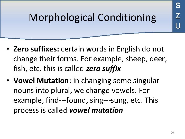 S Z U Morphological Conditioning • Zero suffixes: certain words in English do not