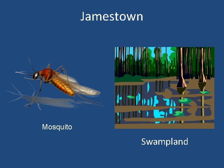 Jamestown Mosquito Swampland 