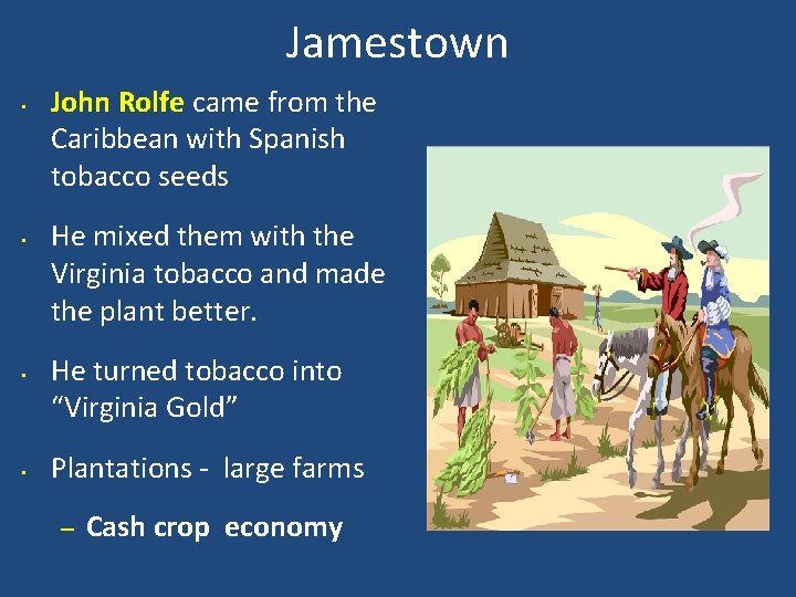 Jamestown • • John Rolfe came from the Caribbean with Spanish tobacco seeds He