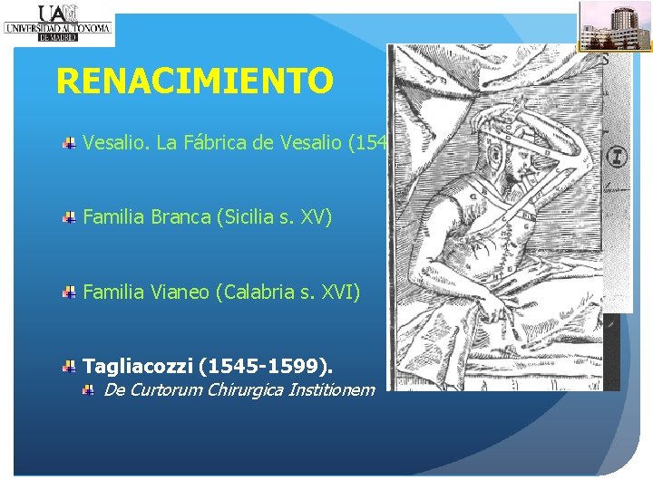 RENACIMIENTO Vesalio. La Fábrica de Vesalio (1543) Familia Branca (Sicilia s. XV) Familia Vianeo
