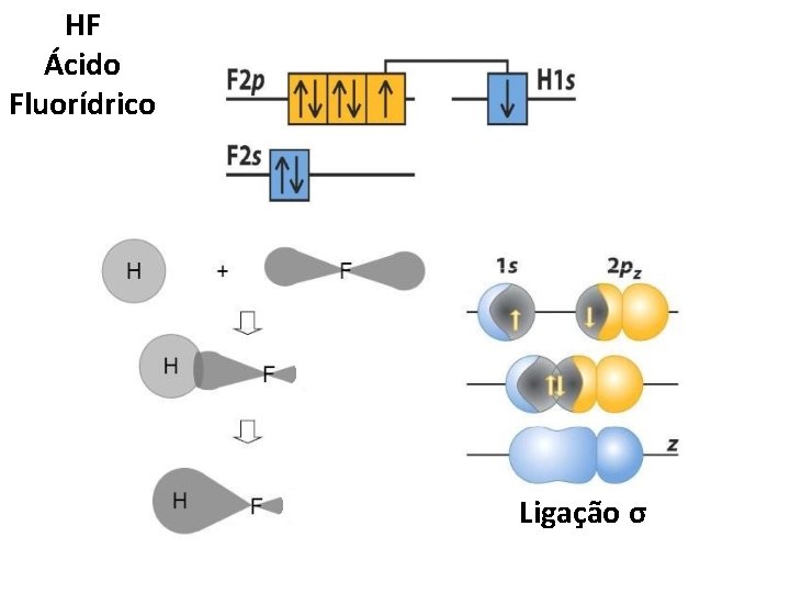 HF Ácido Fluorídrico Ligação σ 