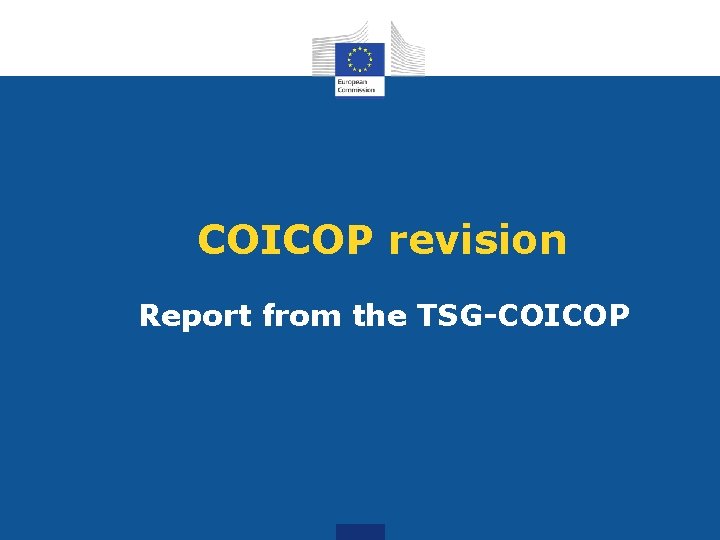 COICOP revision Report from the TSG-COICOP 