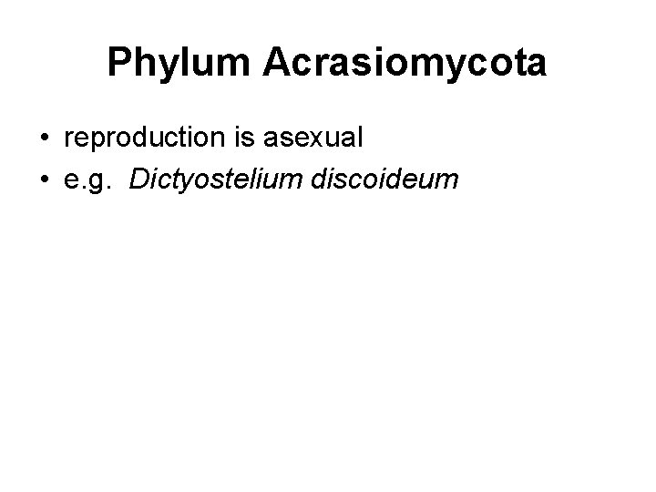 Phylum Acrasiomycota • reproduction is asexual • e. g. Dictyostelium discoideum 
