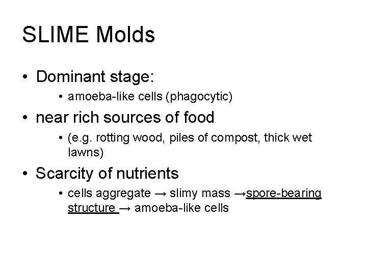 SLIME Molds • Dominant stage: • amoeba-like cells (phagocytic) • near rich sources of