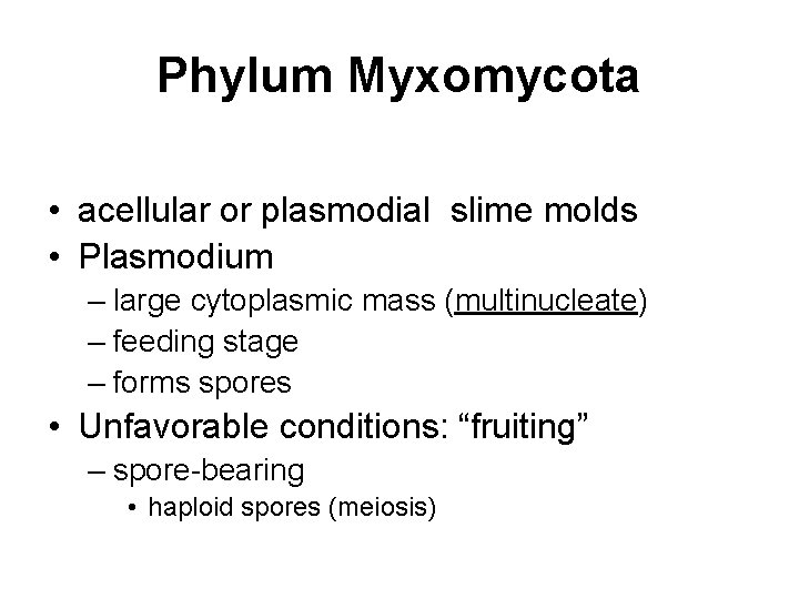 Phylum Myxomycota • acellular or plasmodial slime molds • Plasmodium – large cytoplasmic mass
