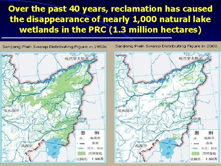 Over the past 40 years, reclamation has caused the disappearance of nearly 1, 000