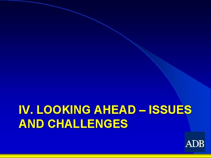IV. LOOKING AHEAD – ISSUES AND CHALLENGES 