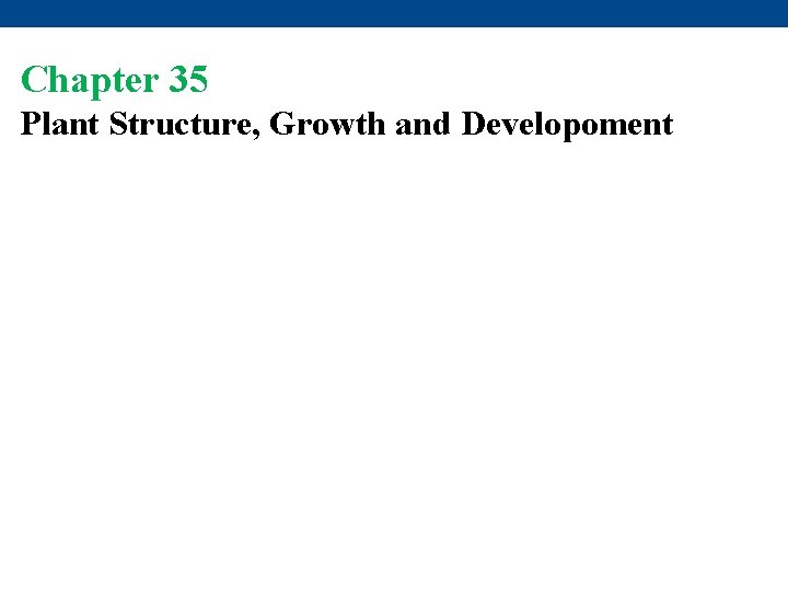 Chapter 35 Plant Structure, Growth and Developoment 