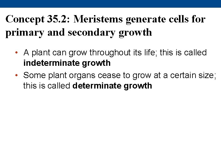 Concept 35. 2: Meristems generate cells for primary and secondary growth • A plant