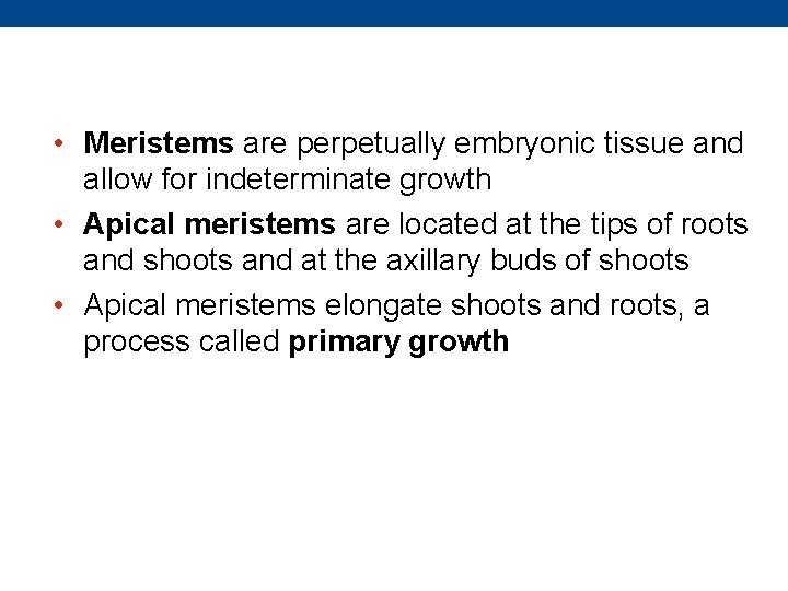  • Meristems are perpetually embryonic tissue and allow for indeterminate growth • Apical