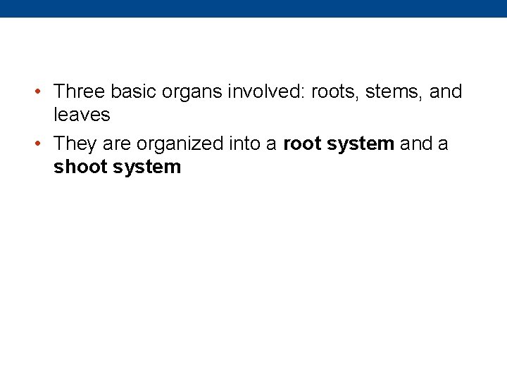  • Three basic organs involved: roots, stems, and leaves • They are organized