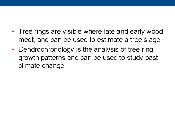  • Tree rings are visible where late and early wood meet, and can