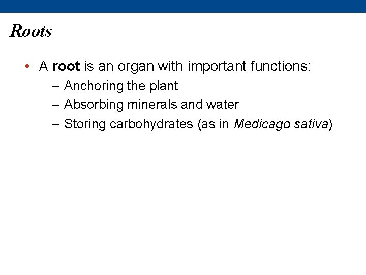 Roots • A root is an organ with important functions: – Anchoring the plant