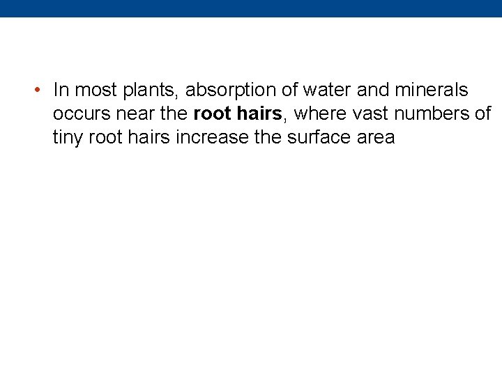  • In most plants, absorption of water and minerals occurs near the root