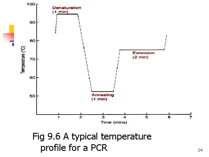 Fig 9. 6 A typical temperature profile for a PCR 24 Fig 9. 6 A typical temperature profile for a PCR 24