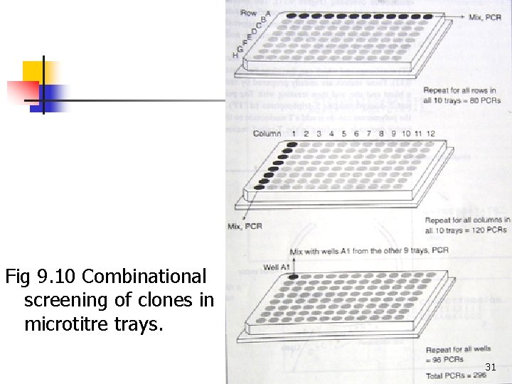 Fig 9. 10 Combinational screening of clones in microtitre trays. 31 Fig 9. 10 Combinational screening of clones in microtitre trays. 31