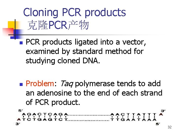 Cloning PCR products 克隆PCR产物 n n PCR products ligated into a vector, examined by Cloning PCR products 克隆PCR产物 n n PCR products ligated into a vector, examined by