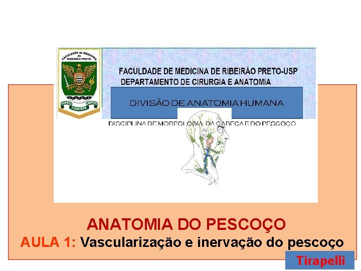 ANATOMIA DO PESCOÇO AULA 1: Vascularização e inervação do pescoço Tirapelli 