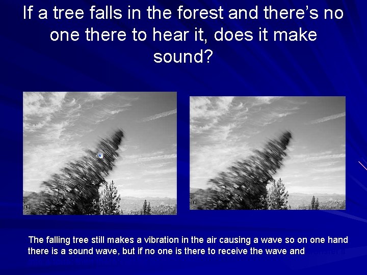 If a tree falls in the forest and there’s no one there to hear