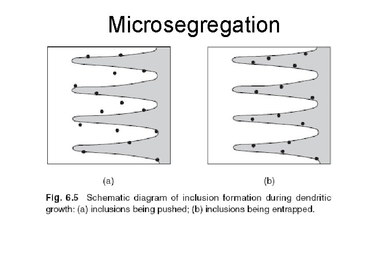 Microsegregation 