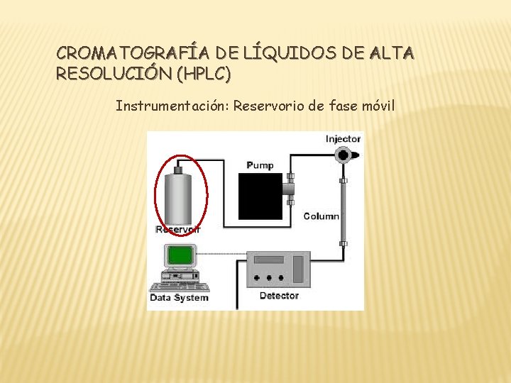 CROMATOGRAFÍA DE LÍQUIDOS DE ALTA RESOLUCIÓN (HPLC) Instrumentación: Reservorio de fase móvil 